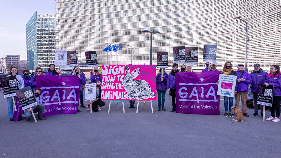 Brussels vigil to save Europe’s ban on cosmetics animal testing